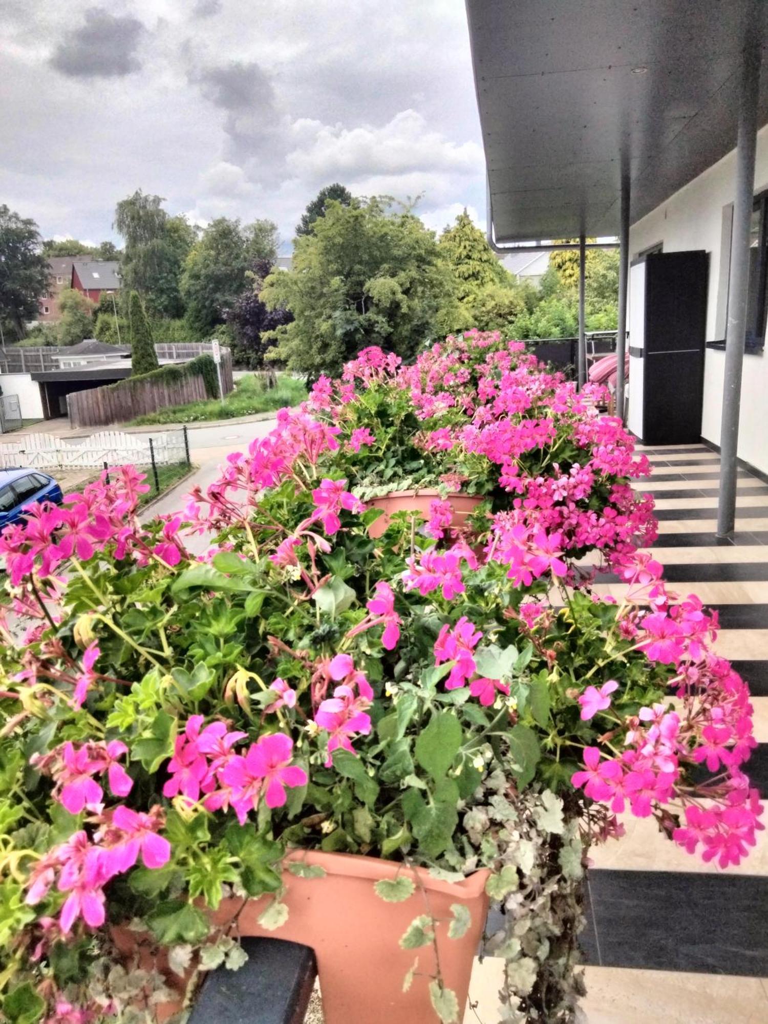 Komfort-Ferienwohnung Mit Ostseeblick ,Entspannung Flensburg Kültér fotó